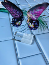 Load image into Gallery viewer, Purple Queen Birdwing Butterfly Studs