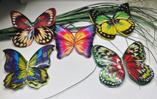 Load image into Gallery viewer, Sprite Skipper Butterfly Wing Studs