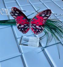 Load image into Gallery viewer, Red Owl Butterfly Wing Studs